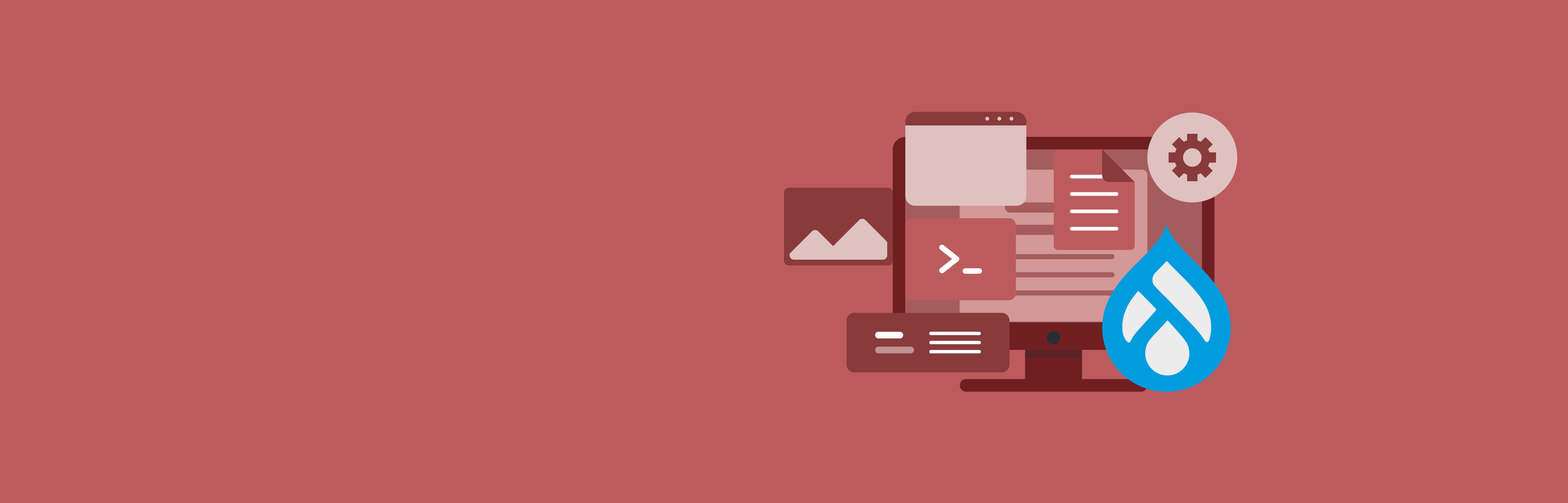 Banner - Drupal CMS - Red