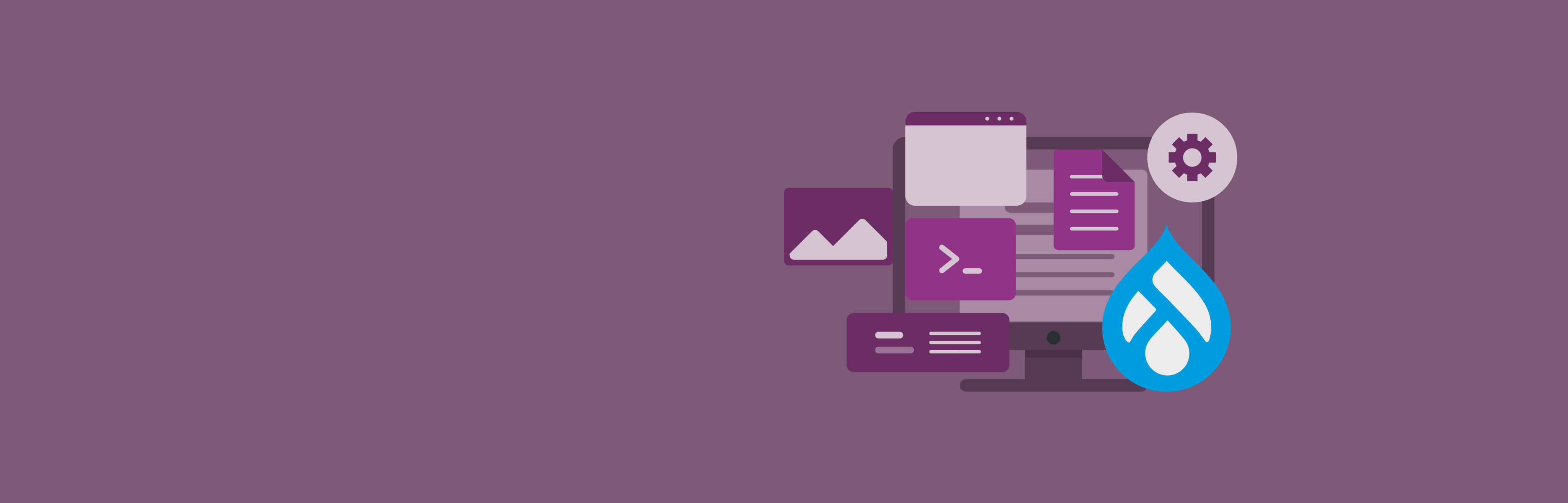 Banner - Drupal CMS - Purple