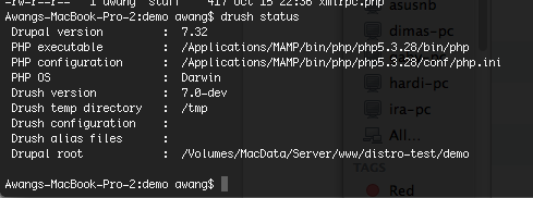 Drupal CMS - Drush status result