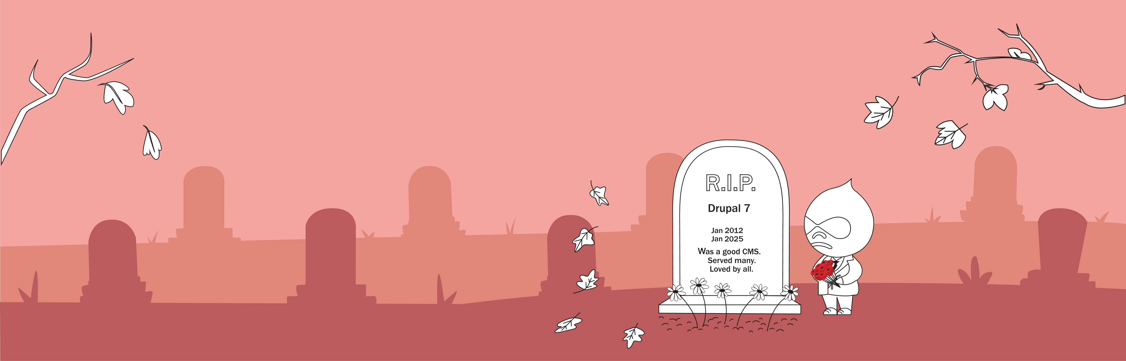 Banner - Drupal EOL - Salmon